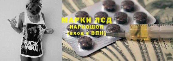 сатива Дегтярск